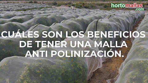 Cuáles son los beneficios de tener una malla anti polinización.