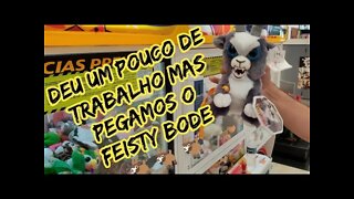 MAIS UM FEISTY PETS BODE 🐐🐐🐐 VEIO PARA CASA 👏👏👏