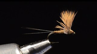 Comparadun Fly Tying - Tied by Charlie Craven