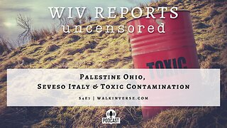 Palestine Ohio, Seveso Italy & Toxic Contamination