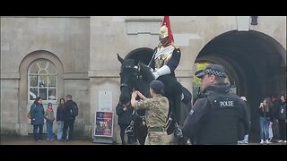 Extinction rebellion freaks out the kings guard horse #horseguardsparade