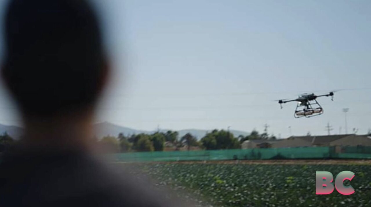 Drones and robots could replace some field workers as farming goes high ...