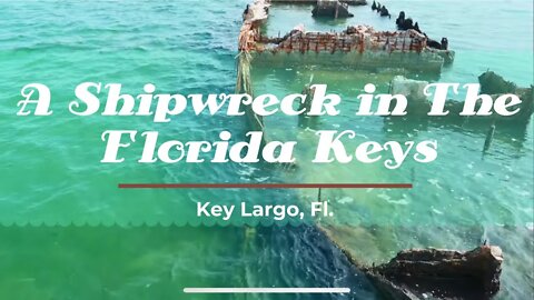 The Concrete Shipwreck off Key Largo's Garden Cove