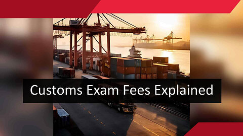 Demystifying Customs Exam Fees: How They're Calculated and What You Need to Know