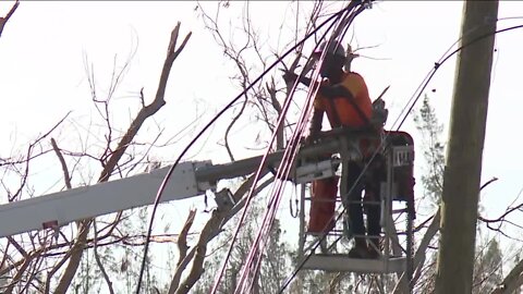 Homeowner asking for help after tree falls on home, preventing power restoration