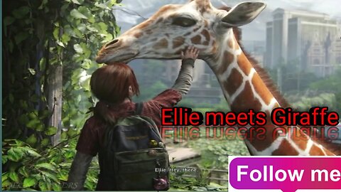 Ellie meets Giraffer