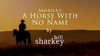 Horse With No Name - America (cover-live by Bill Sharkey)