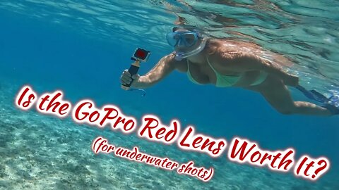 SDA49 Is the GoPro Red Lens Worth It? (for underwater shots)