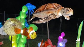 One Tank Trips: GloWild at Kansas City Zoo