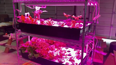 New Home Scale Indoor Vertical Hydroponics Farm - Part Five