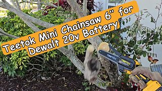 Teetok (PEDONY) Mini Chainsaw 6’’ for Dewalt 20v Battery Full Review / Tutorial