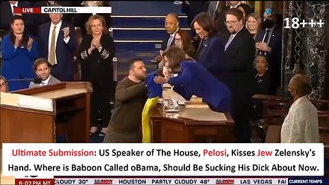 Ultimate Submission: US Speaker of The House, Pelosi, Kisses Jew Zelensky's Hand. Where is Baboon Called oBama, Should Be Sucking His Dick About Now.