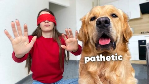 Pretending Not To See My Dog | Funny Dog Reaction