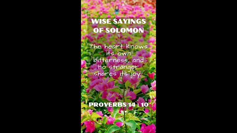 PROVERBS 14:10 | Wise Sayings of Solomon