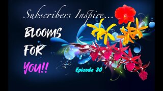 SUBSCRIBERS INSPIRE| You color my life | Blooms for YOU! Episode 30 🌸🌺🌼💐 #orchidsinbloom