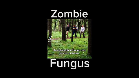 Zombie fungus