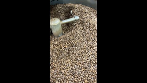 Freshly Roasted Coffee