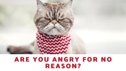 Are You Angry For No Reason?