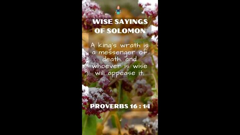 Proverbs 16:14 | NRSV Bible | Wise Sayings of Solomon