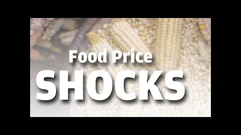 Reactions to a Global Food Price Crisis