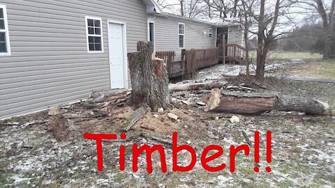 Skipper Barks "Timber!!"