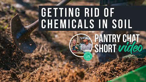 Getting Rid of Chemicals in Soil | Pantry Chat Podcast Short