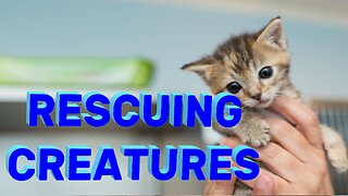 RESCUING CREATURES