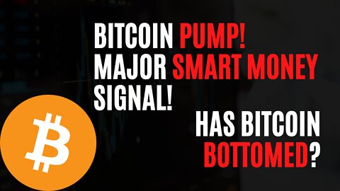 Biggest BTC Bullish Signal? Last Time Price Went Up 500% - What Will It Do Now?
