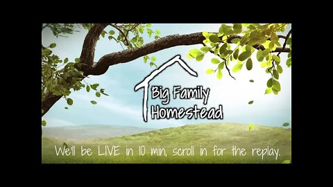 Creamy Chicken Alfredo Skillet | Big Family Homestead LIVE 04/08/22