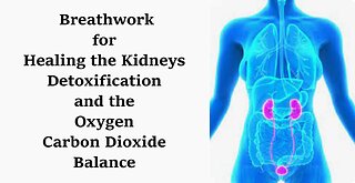 Breathwork, Healing the Kidneys and the Oxygen and Carbon Dioxide Balance.