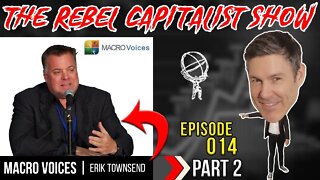 Coronavirus Economic Impacts - Part 2 of 2 (w/Erik Townsend) Rebel Capitalist Show Ep.14