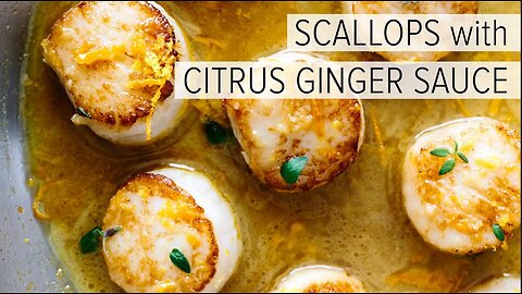 SCALLOPS with CITRUS GINGER SAUCE | how to cook scallops