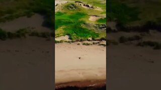 Beautiful drone shot at the beach