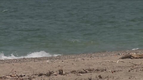 Search continues for 15-year-old swimmer at Headlands Beach State Park
