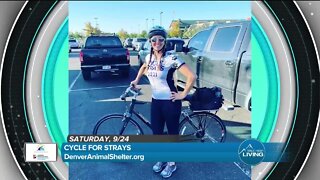 Cycle For Strays // Denver Animal Shelter