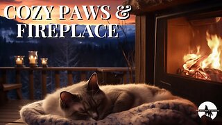 Cat Purr ASMR and Fireplace Sounds | For Study and Relaxation