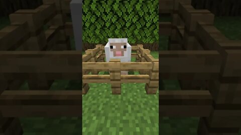 This Minecraft Sheep is not ok....