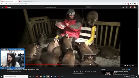 MoistCr1tikal Reacts To Mobbed By Raccoons