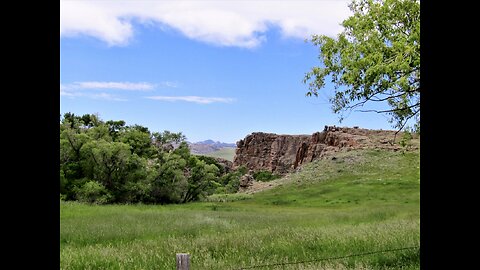 Cold Springs Road: A Wilderness Trek