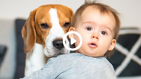 Adorable Babies Playing With Dogs and Cats - Funny Babies Compilation 2022