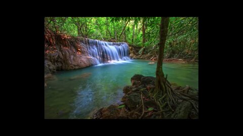 Jungle River and Nature Sounds, for Sleep, Rest, and Relaxation. 8 Hours