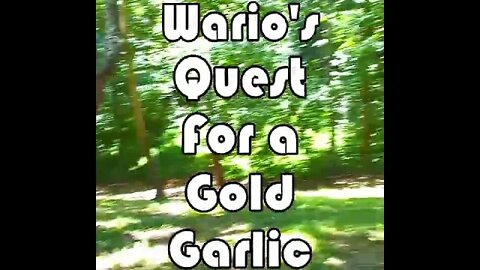 Wario's Quest for a Gold Garlic