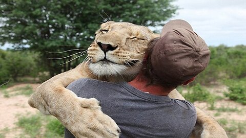Cutest Animals Hugging Peoples - Animals HD