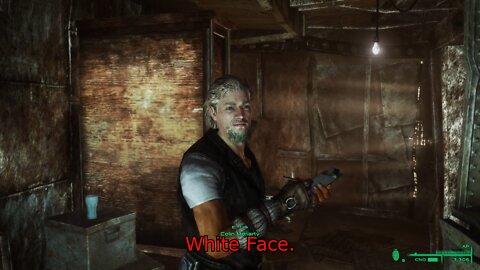 Fallout 3 Redesigned aka Project Beauty - White Face Fix