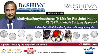 Dr.SHIVA™ LIVE - MSM for Pet Joint Health K9-701™: A Whole Systems Approach