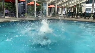 Slow Motion Cannonball in Pool