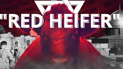 Why the Coming Red Heifer Sacrifice Will Affect You Even If You're Not Jewish