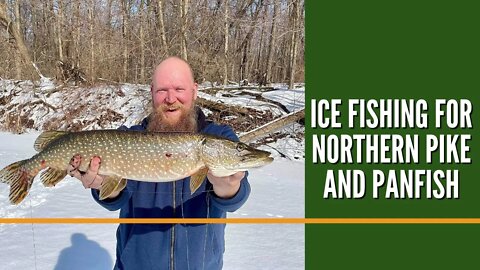 Ice Fishing For Northern Pike / Michigan Pike Fishing / Ice Fishing Michigan 2021