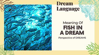 Meaning Of Fish In Dreams | Biblical & Prophetic Meaning