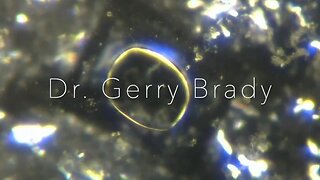 Dr. Gerry Brady - Dangerous Truth